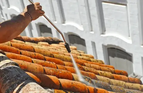 Nettoyage de toitures - Foissiat